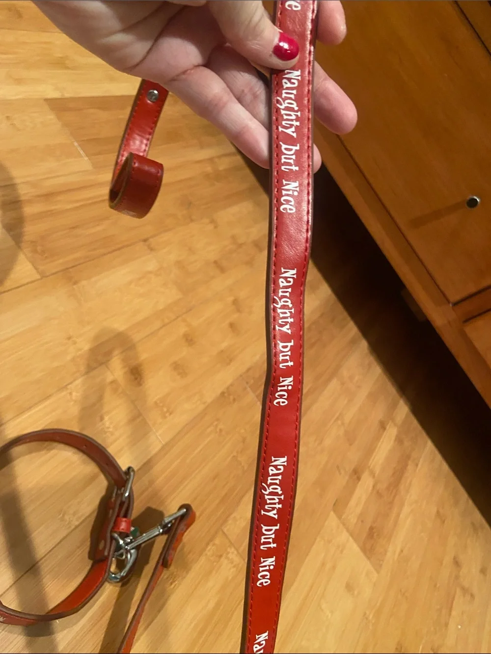 Small Dog Collar